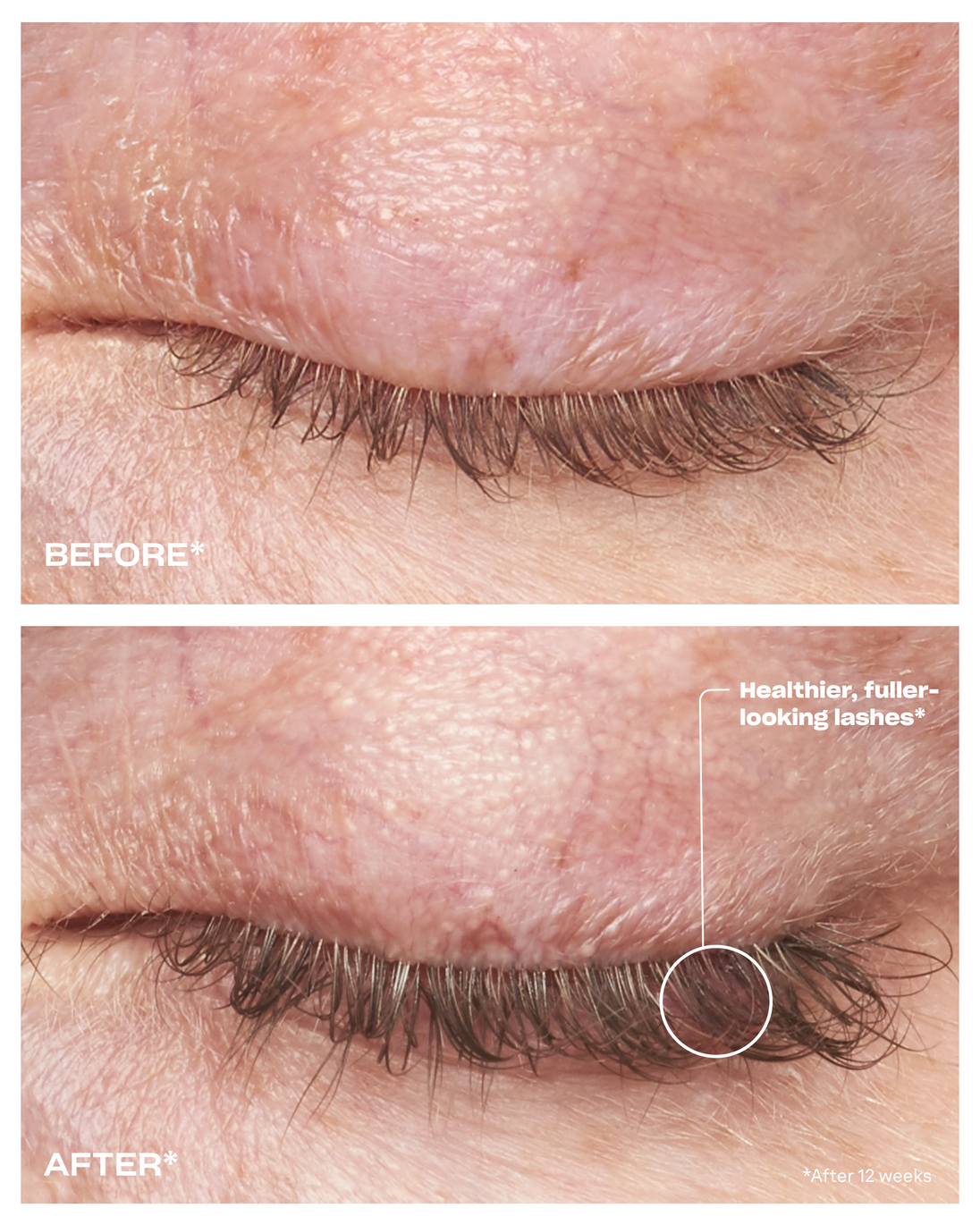 Enhancing Lash Conditioner