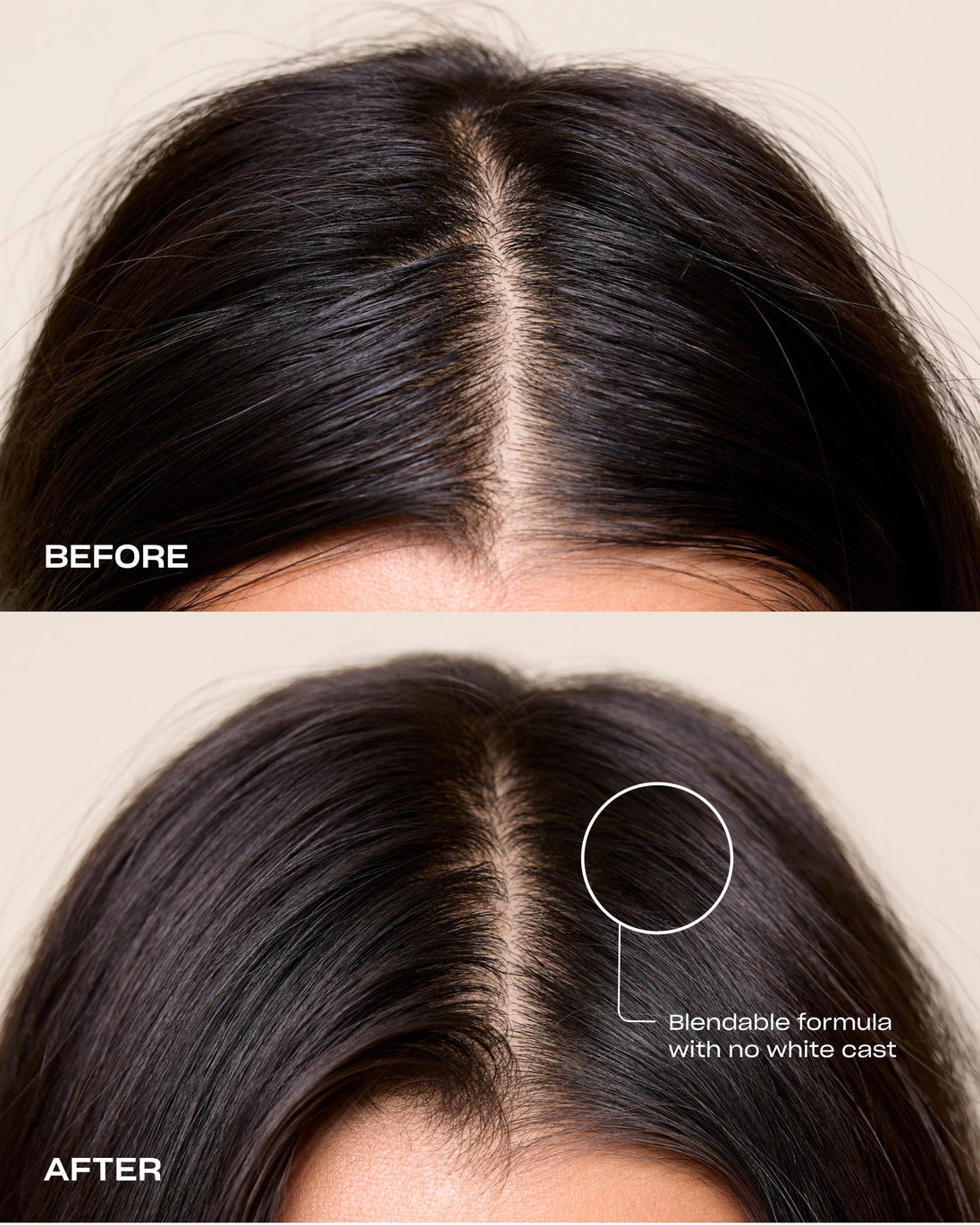 Root Refresh Dry Shampoo Powder